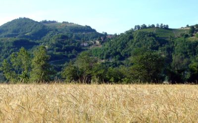 Ferragosto nella Langa Astigiana