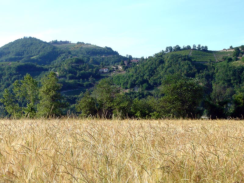 Ferragosto nella Langa Astigiana