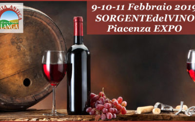 9-10-11 Febbraio | SORGENTIdelVINO LIVE2019 | Piacenza EXPO
