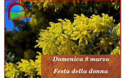 Domenica 8 Marzo: Evento Sunshine per la festa della Donna