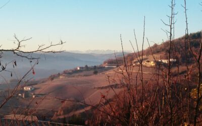 Vieni in vacanza in Piemonte con la formula 4×2